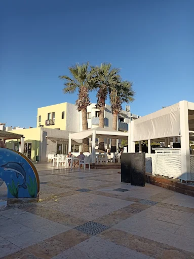 یلکن ماندالینجی